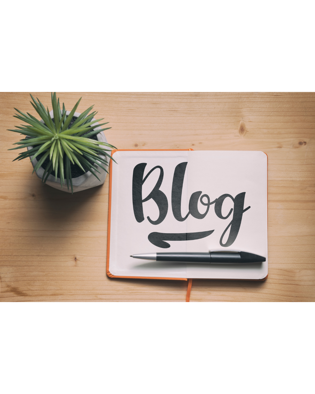 Diseño sin título (4)